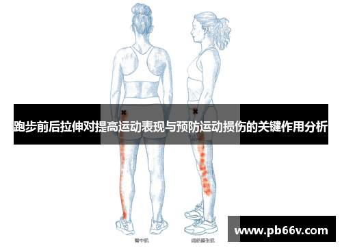 跑步前后拉伸对提高运动表现与预防运动损伤的关键作用分析
